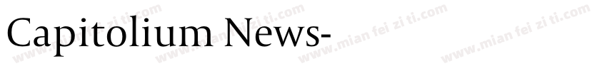 Capitolium News字体转换
